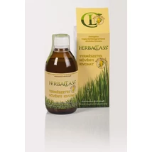 Astragalus Astragalus