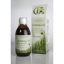 HerbaClass Természetes Növényi Kivonat "20" - Rostkender+ Kendermagolaj (300ml) HerbaClass Természetes Növényi Kivonat "20" - Rostkender+ Kendermagolaj (300ml)